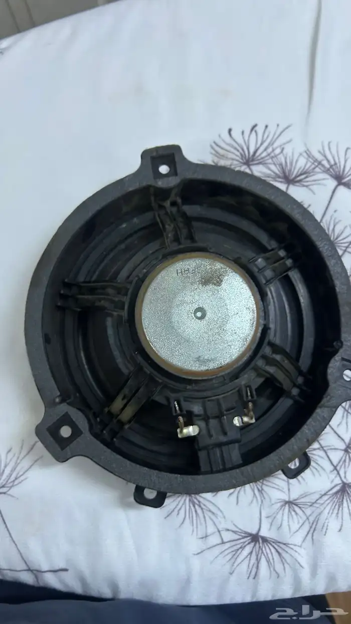 سماعات اكسنت 2024 2025 2