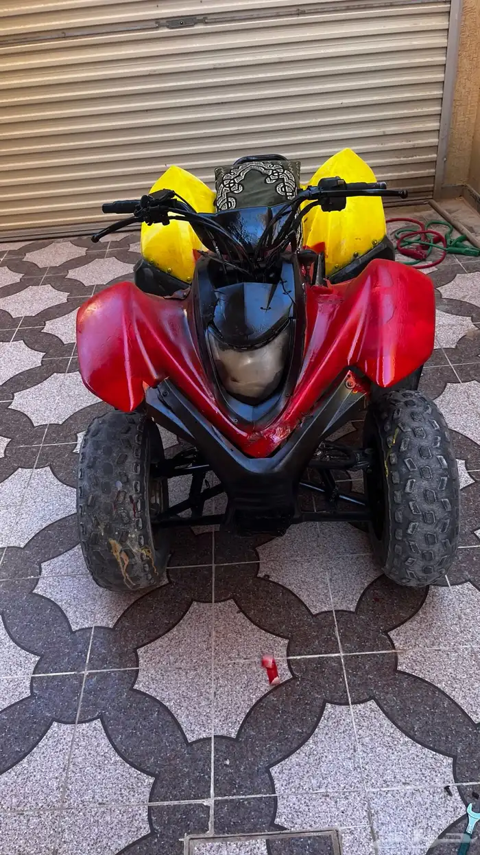 دباب رام 110 3