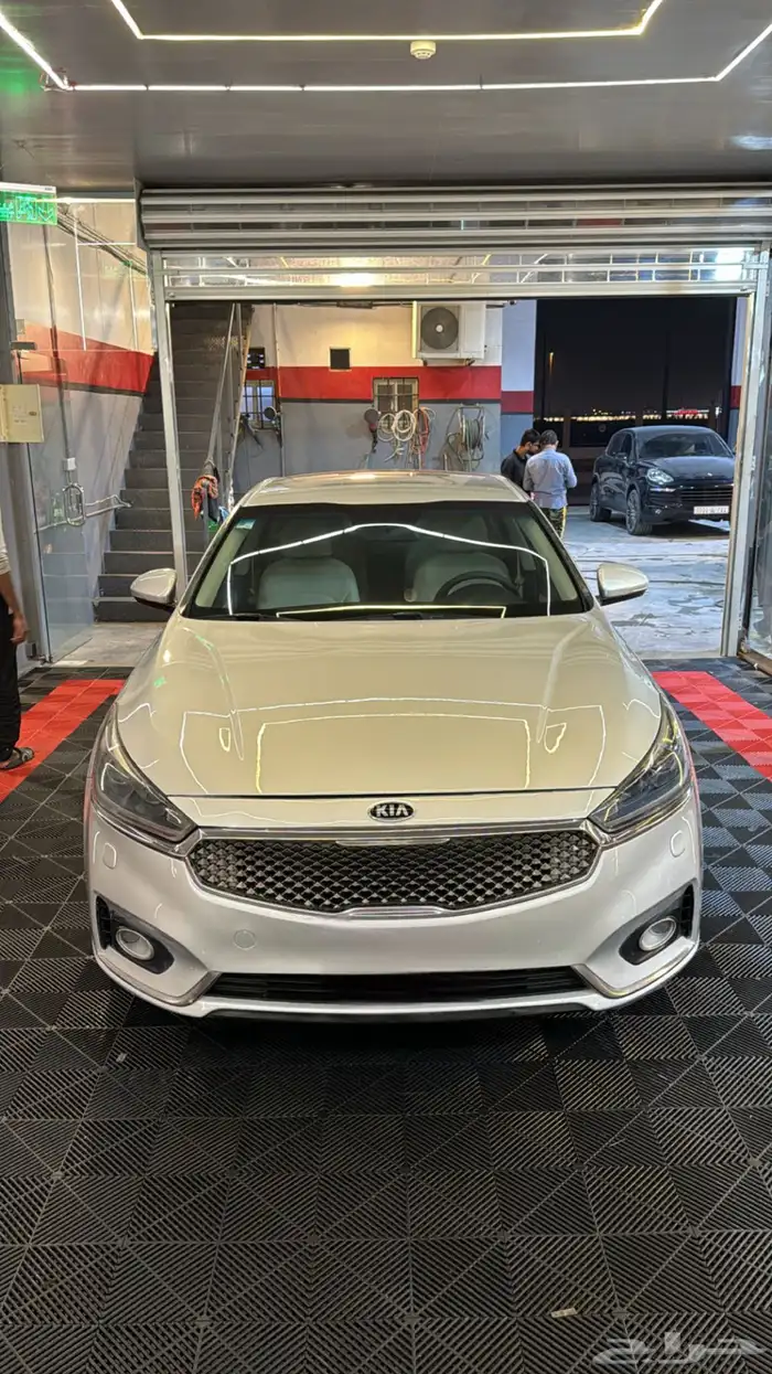 كادينزا 2018 1