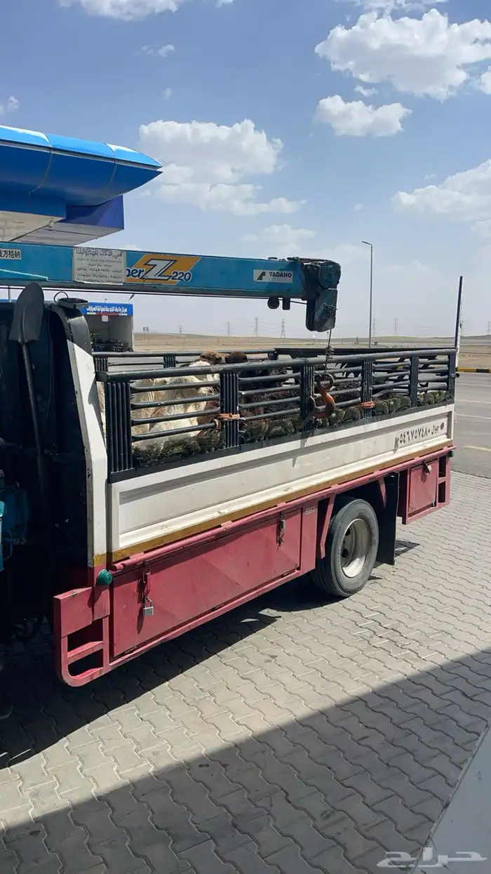 دنا هيدروليك 0