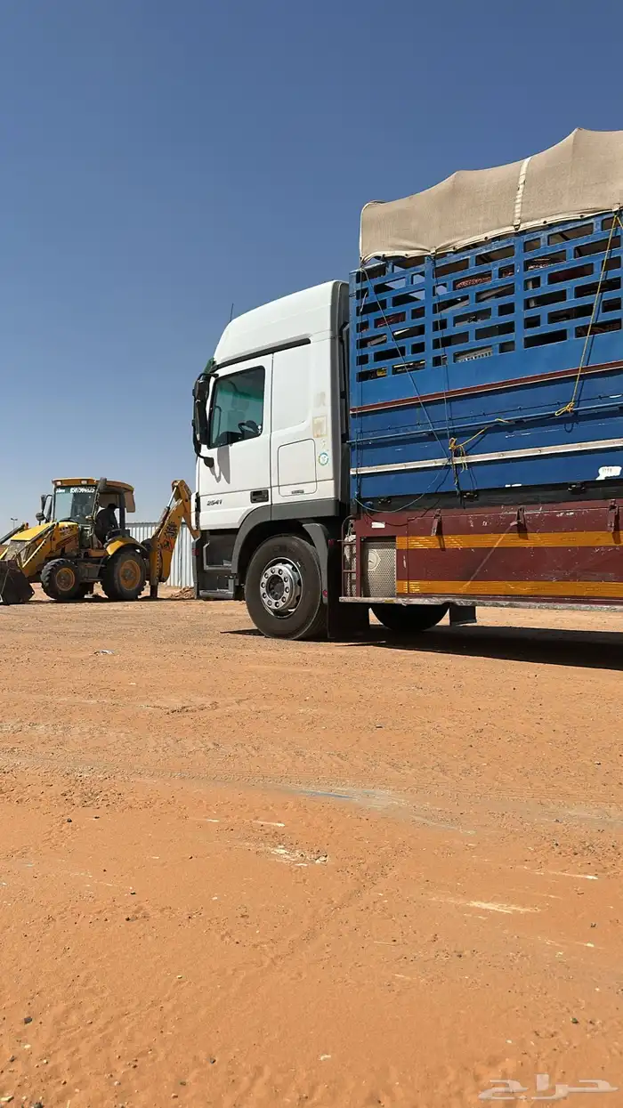 مسقس مسكس اكتروس 2009 3