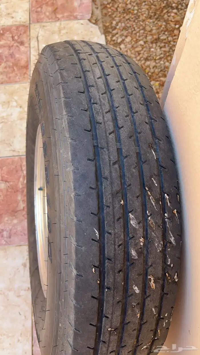 جنوط شنبر مع كفرات 1