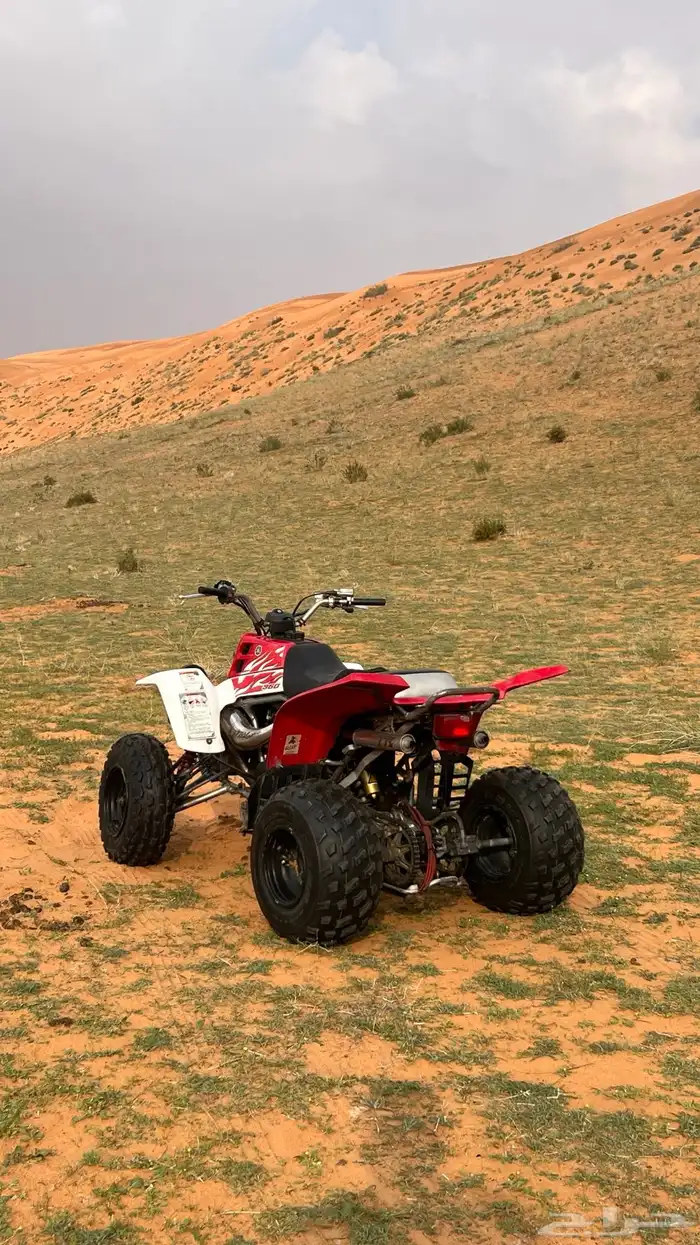 دباب بانشي 2009 1