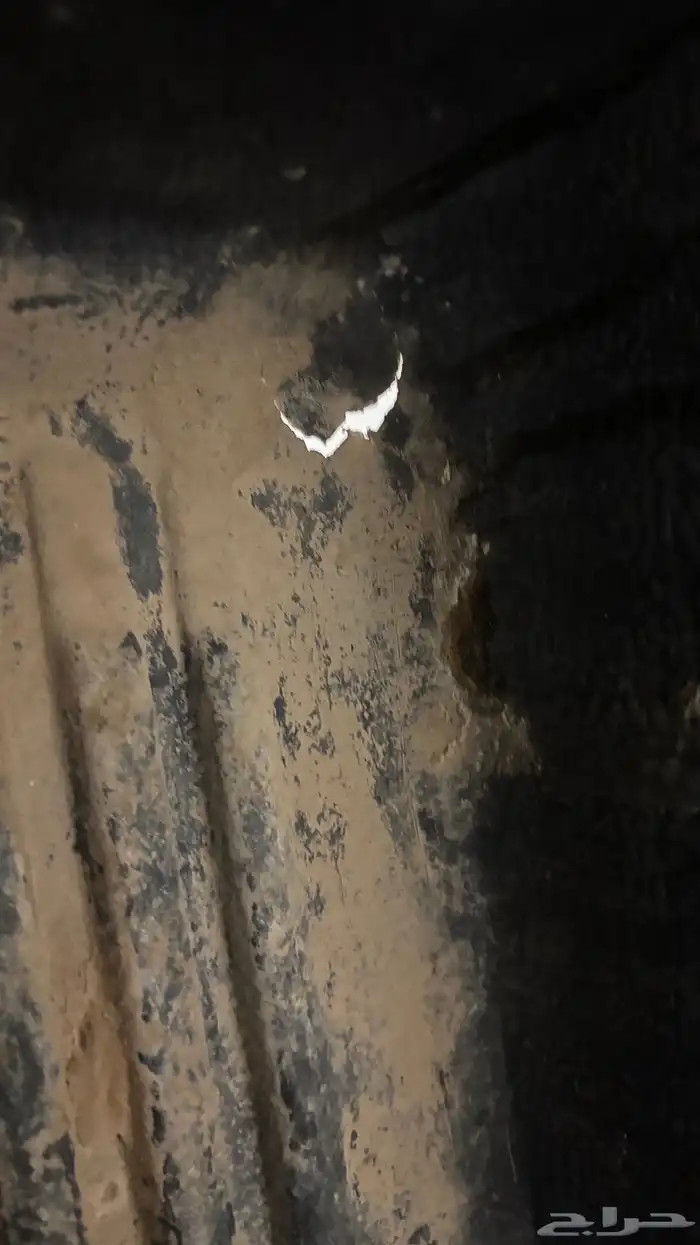 فيبر هايلكس 3