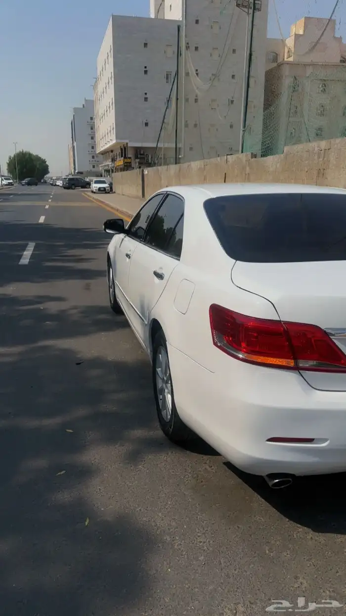 اوريون 2011 19