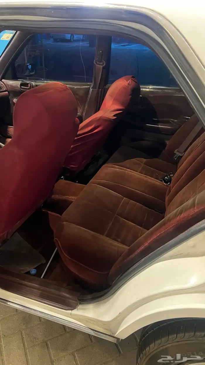 كرسيدا نضيف 6