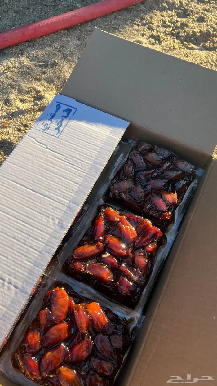 تمر صفري حبه وصط تمر فاخر عشرين كرتون 4