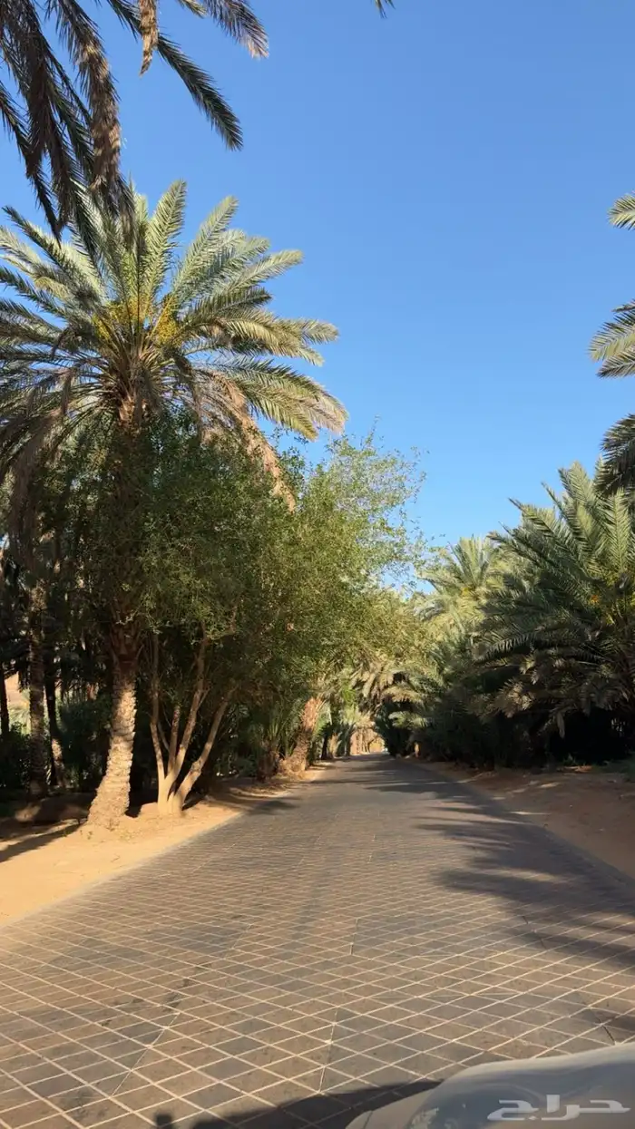 بالعلا حي العزيزيه 0