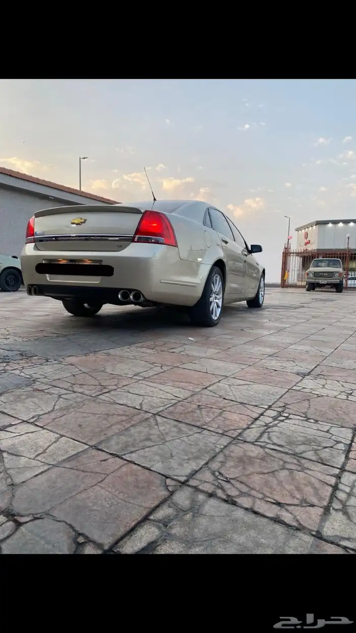 كابرس 2009 8 سرندل 1