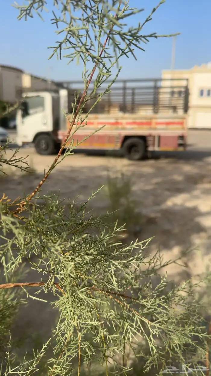 دنه نقل عفش 0