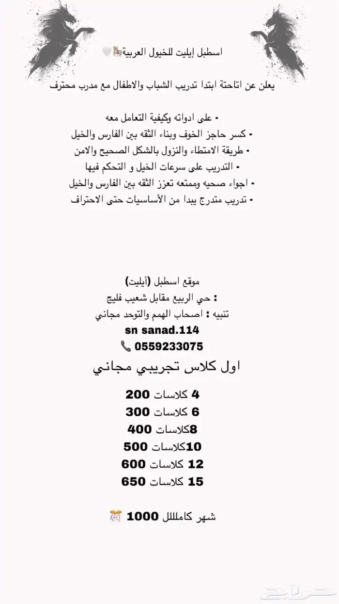 مدرسه ركوب خيل 0