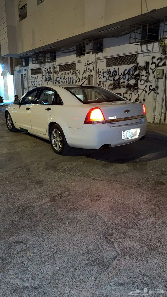 كابرس 2013 ممشى 157 1