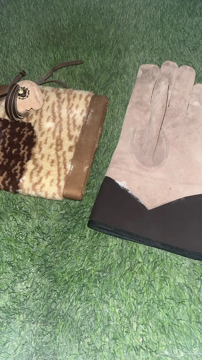 طير شبوط للبيع 1