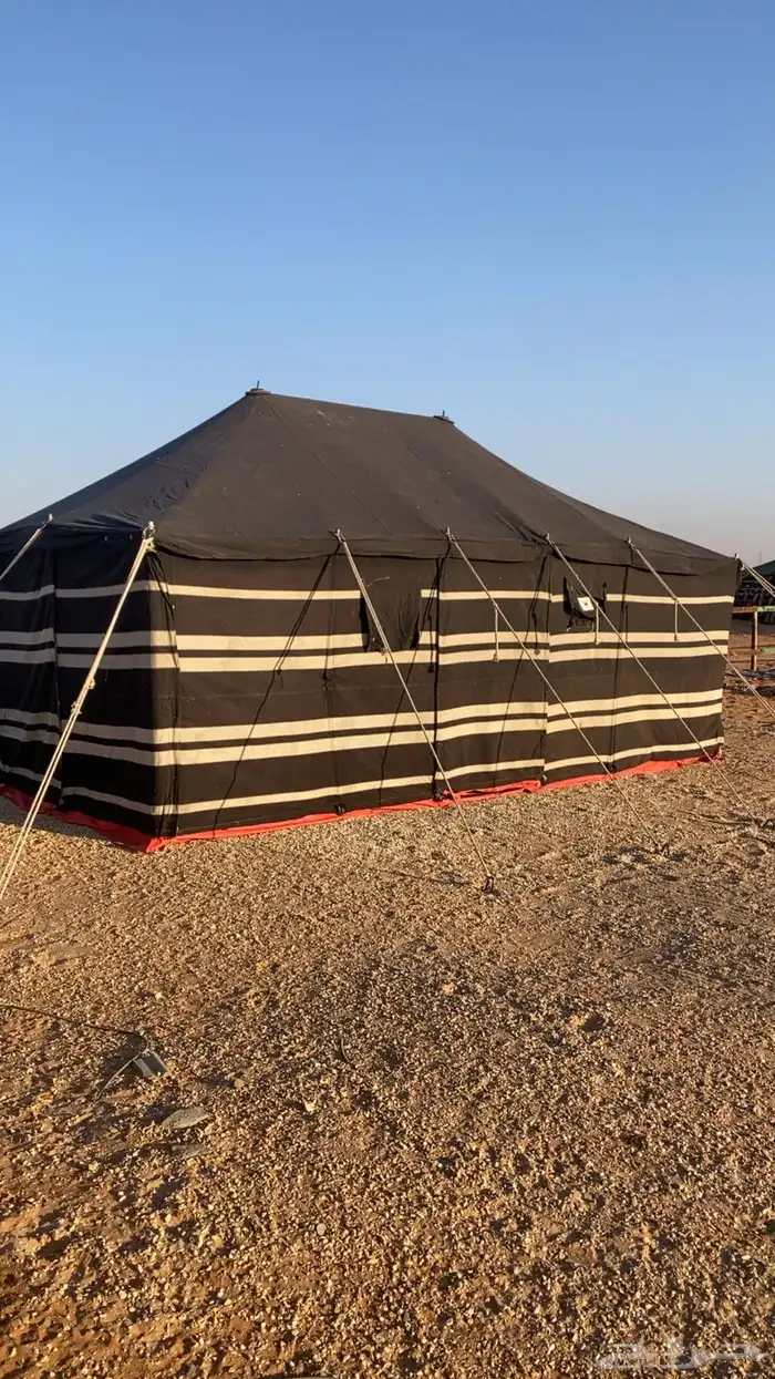 للبيع خيمه الون اسود خطوط بيض نضيف 1