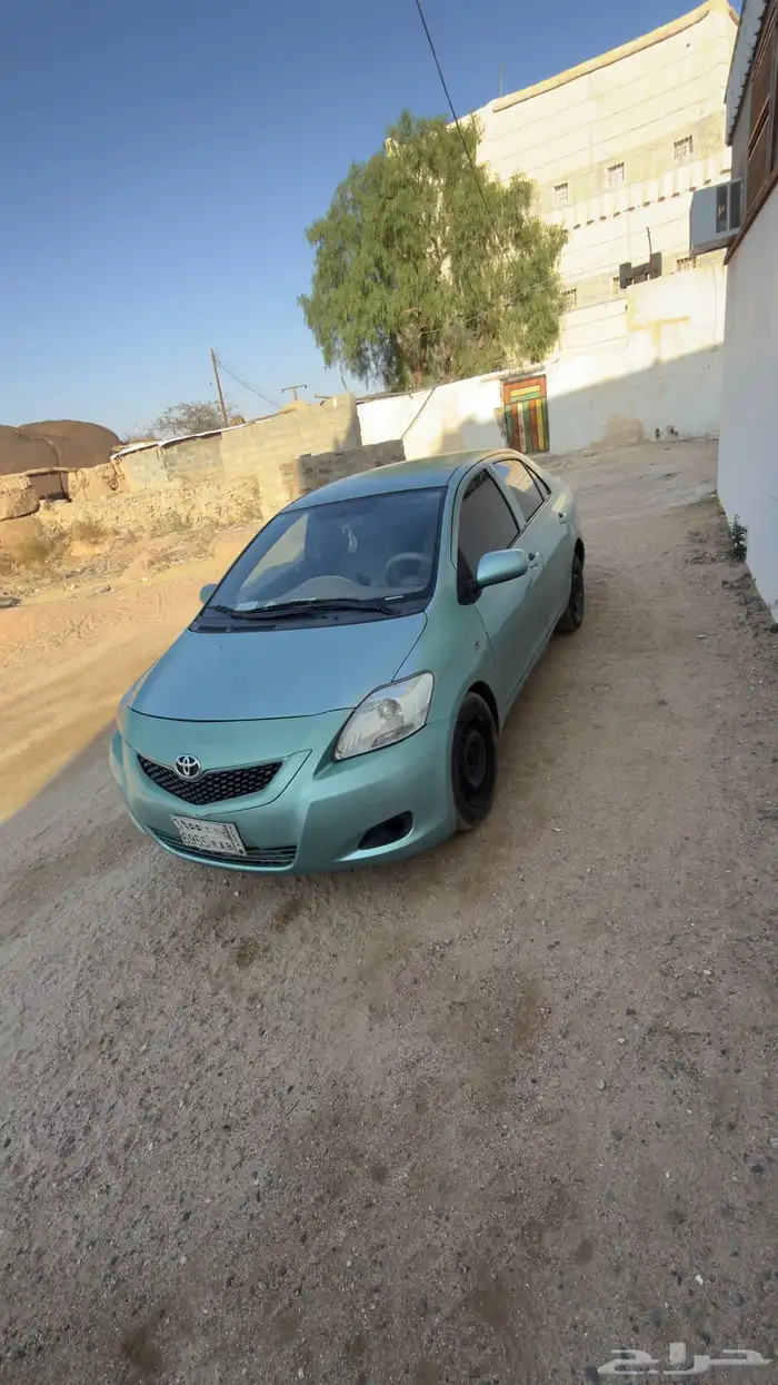 يارس للبيع 0