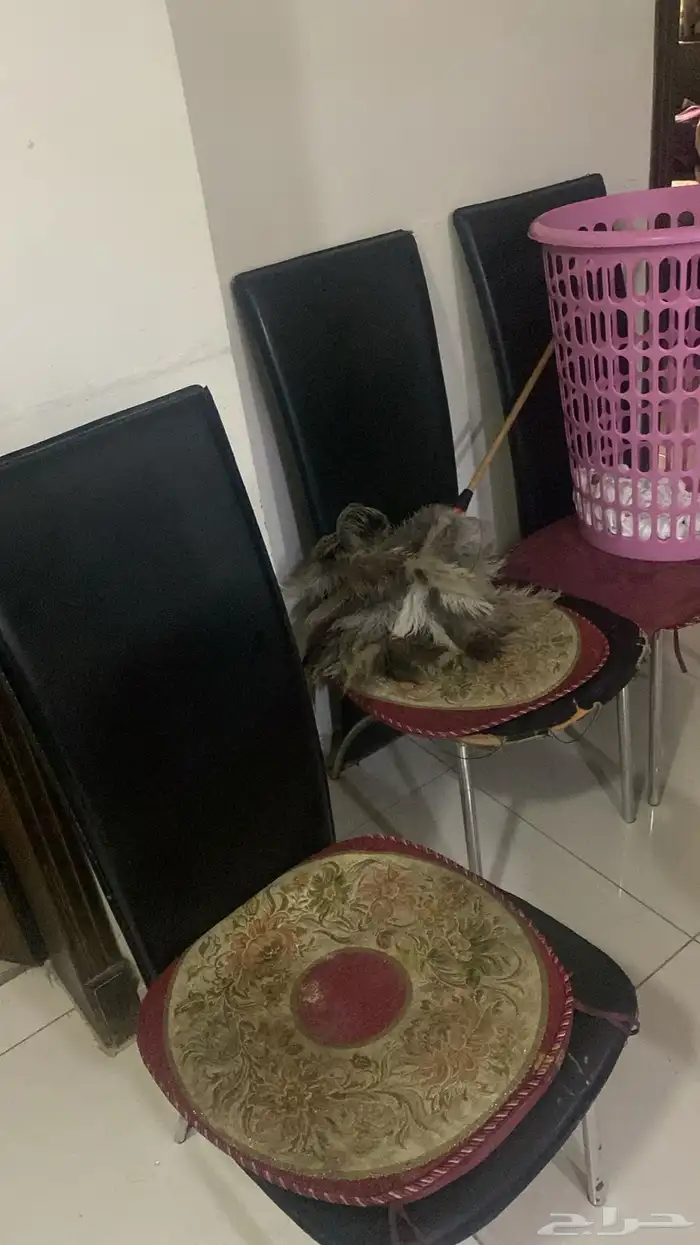 غرفة نوم سريرين مع جميع أغراضها وعدد اثنين كنب مفرد 2