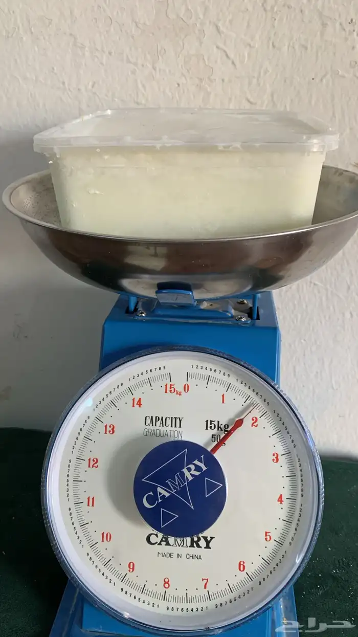 لتيح غنم للبيع 1