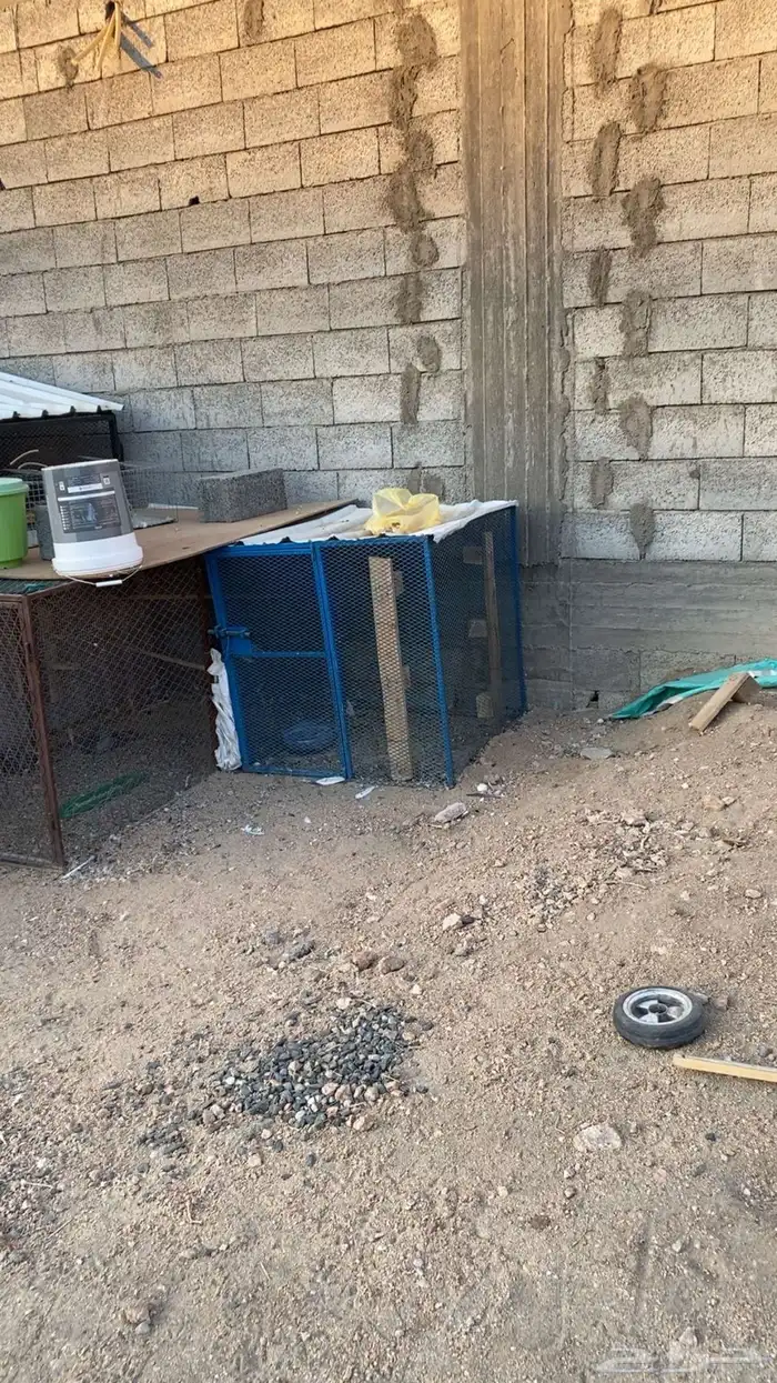 صندقه حمام متر في متر نظيفه شرط وسليمه من الكسور 2