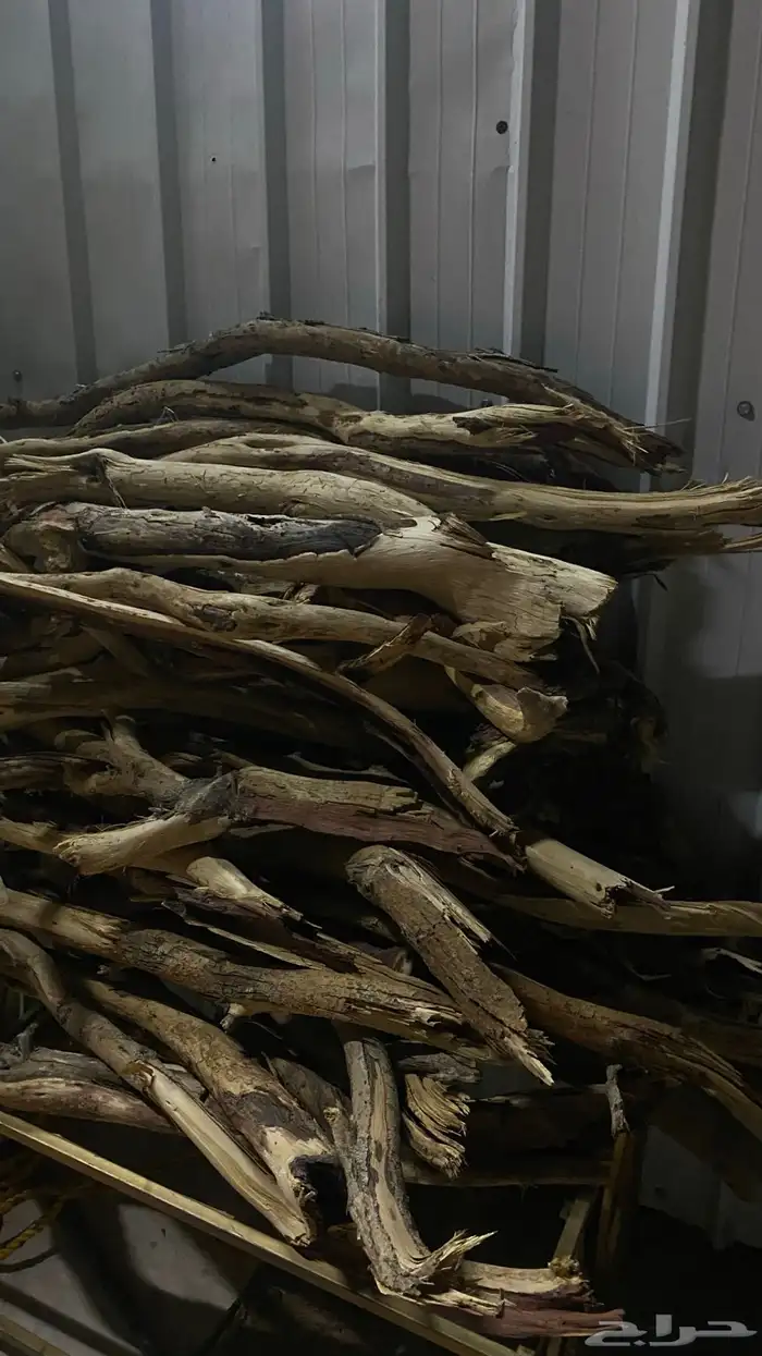 صندوف غمارتين 2