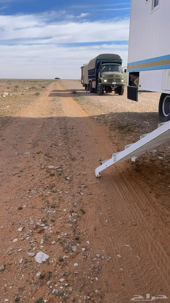 عايدي جفالي موديل 1995 0