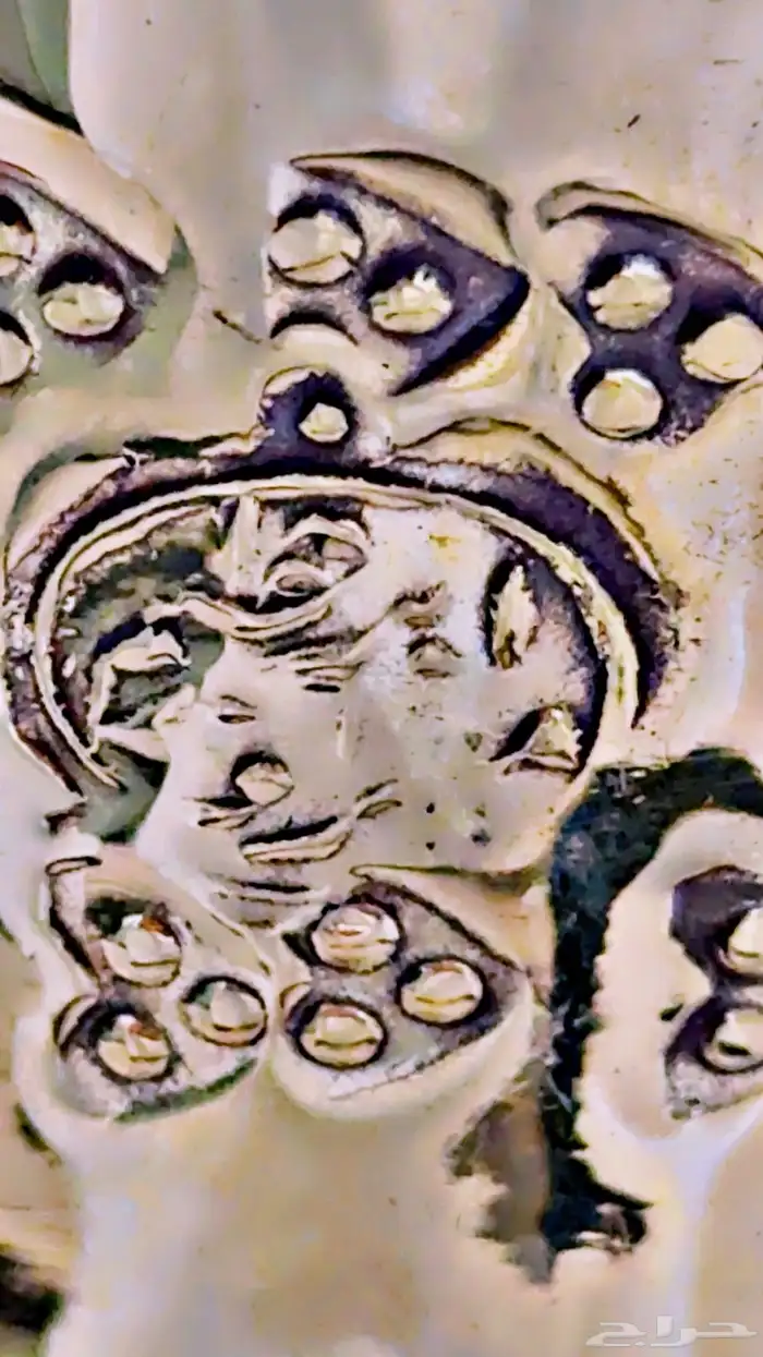 دلال قرشيه 22