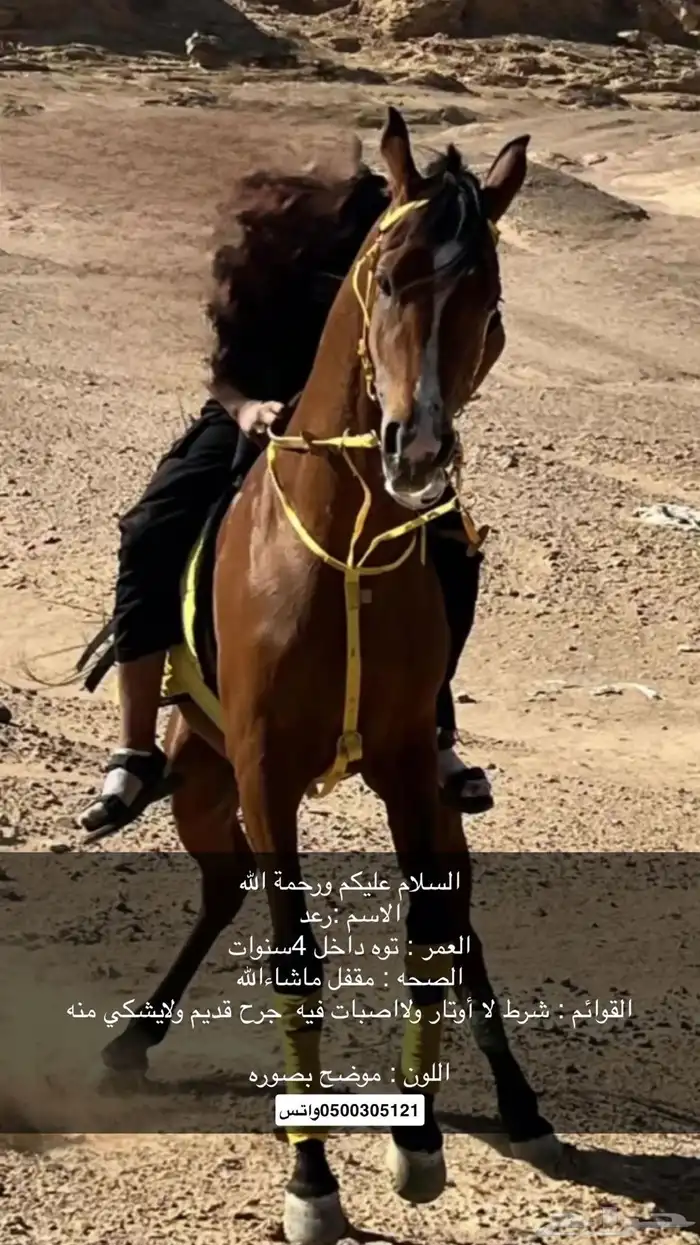 كلشي مواضح ف الصوره 0