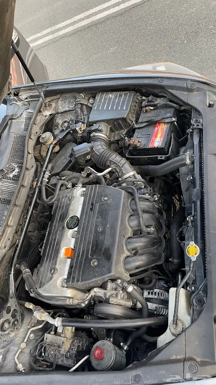 اكورد موديل 2009   2012 16