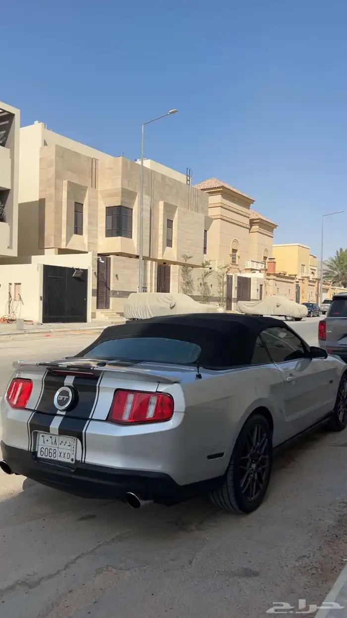 موستنق 8 سلندر قير عادي كشف 2010 0