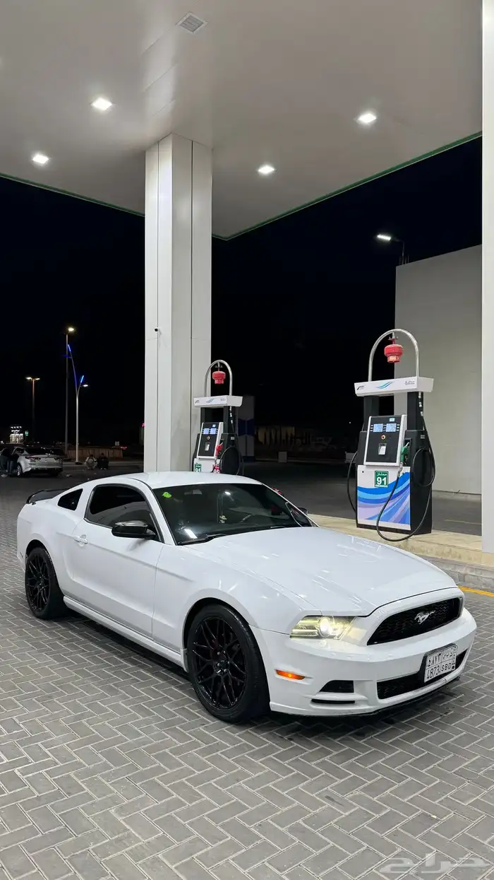 موستنج 2014 v6 3