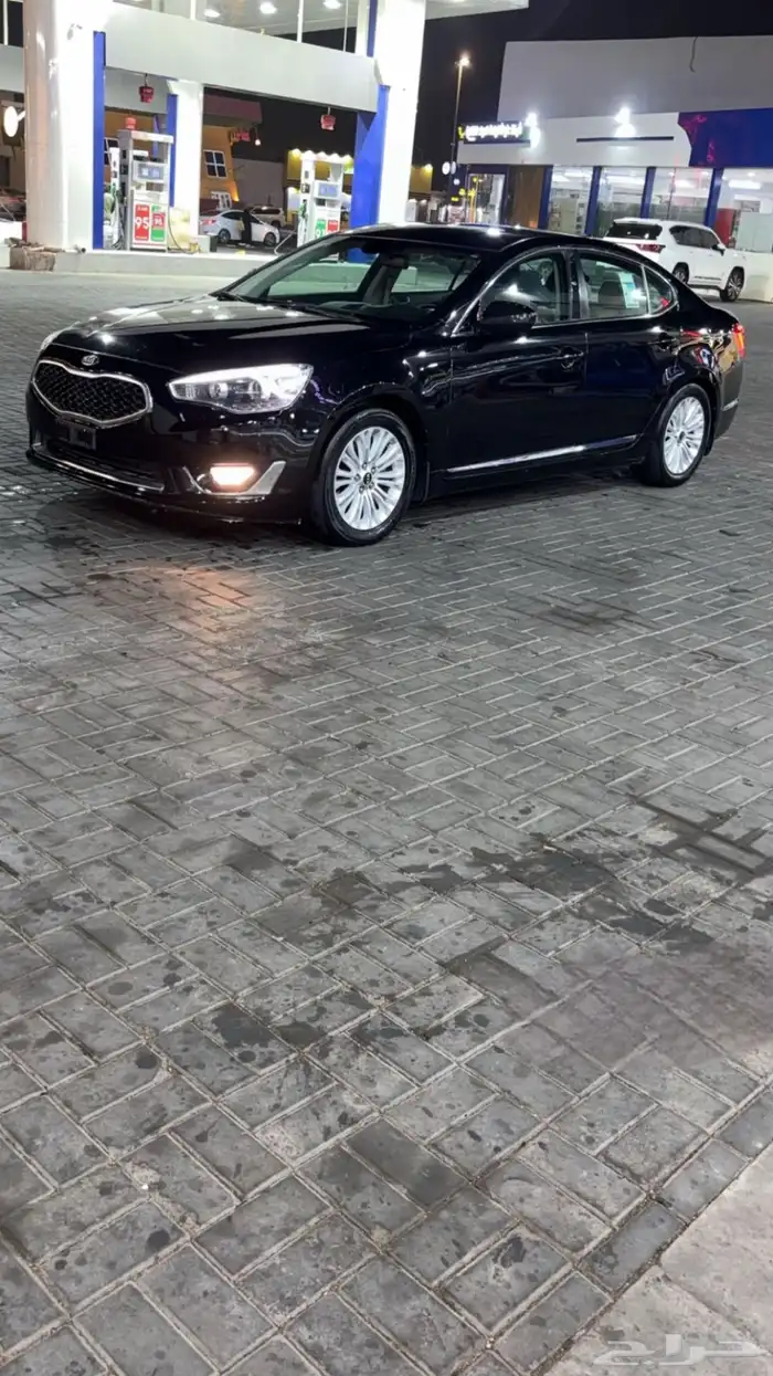 مطلوب كادينزا والي يحصل يبشر بالخير 0