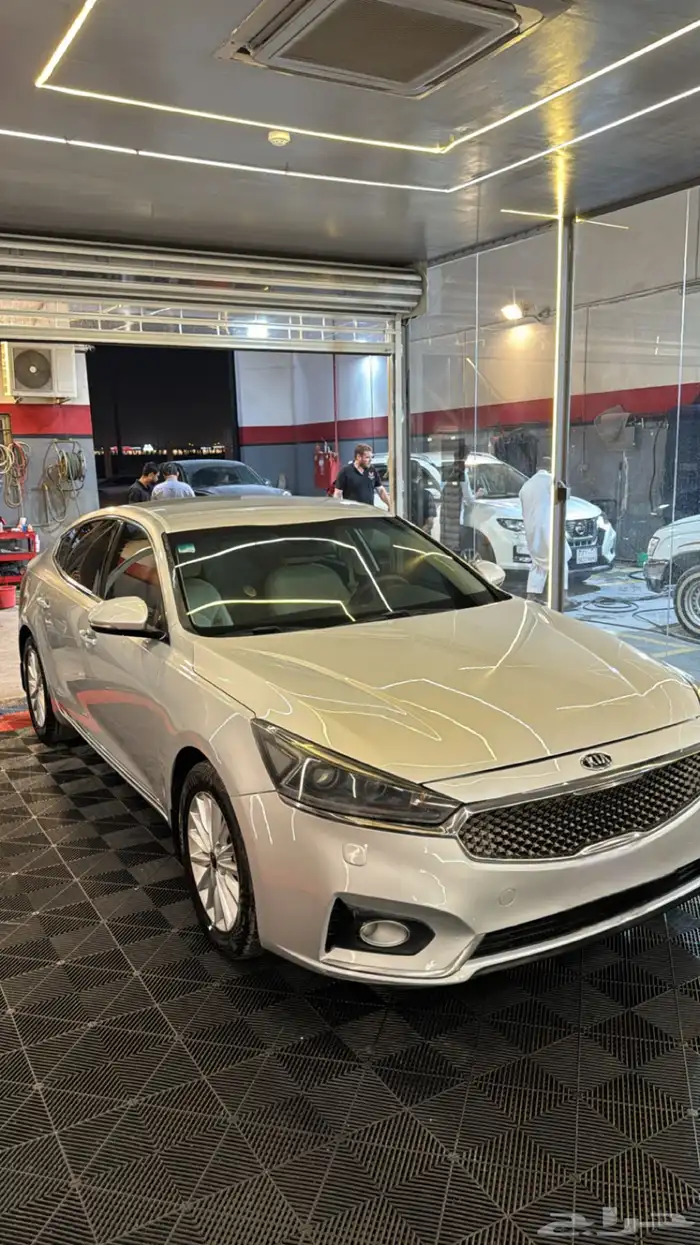 كادينزا 2018 0