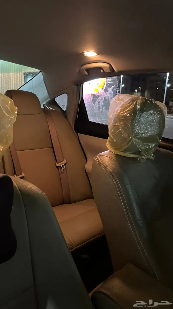 التيما 2013 12