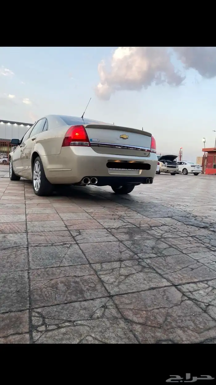 كابرس 2009 8 سرندل 2