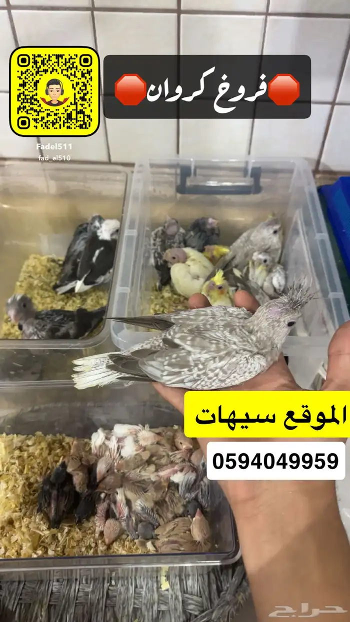 متوفر فرخ مروان غر 0