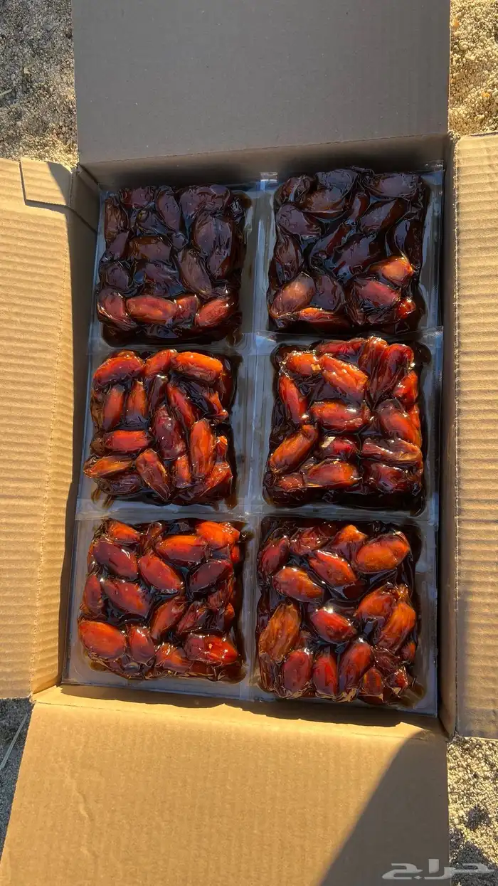 تمر صفري حبه وصط تمر فاخر عشرين كرتون 2