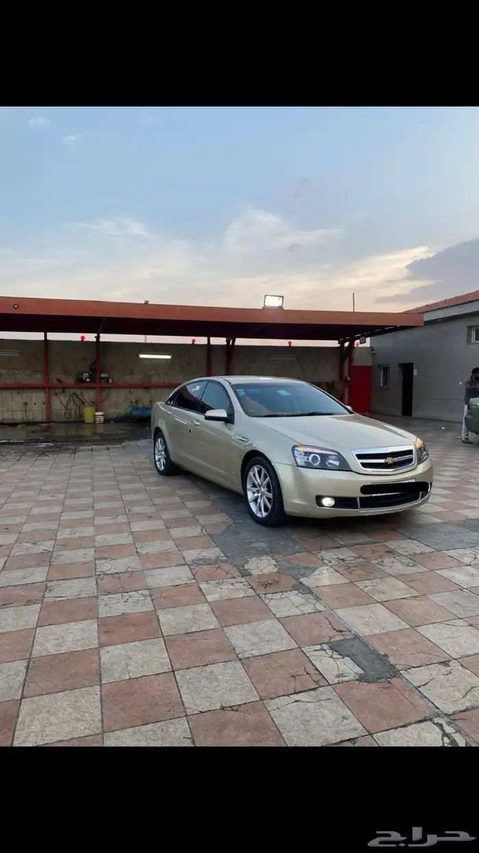 كابرس 2009 8 سرندل 3