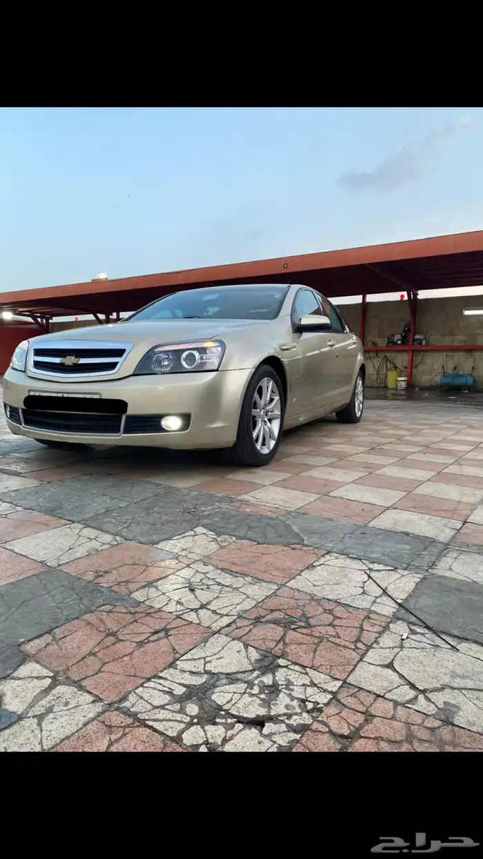 كابرس 2009 8 سرندل 0