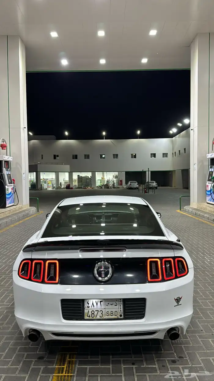 موستنج 2014 v6 1