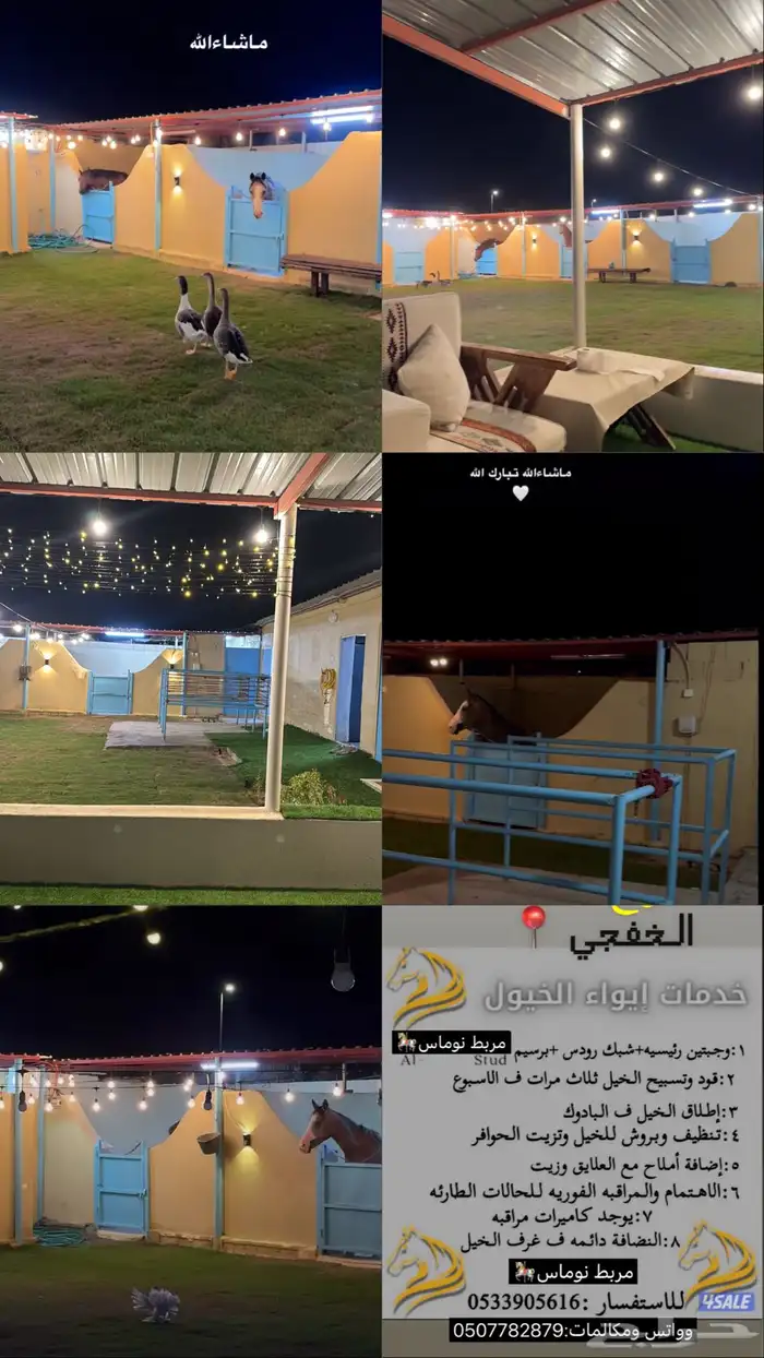 مربط وأيوا خيول 2