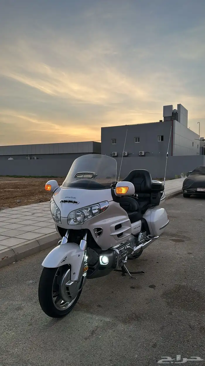 قولد ونق رحال 1