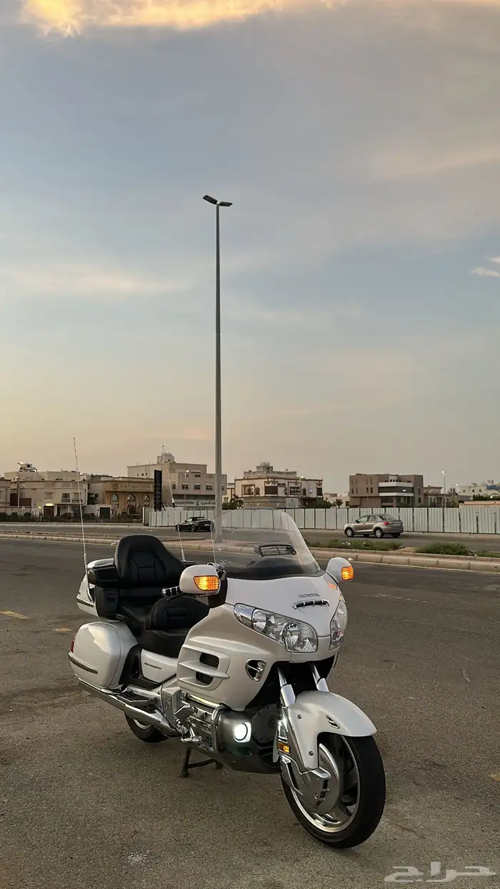 قولد ونق رحال 0