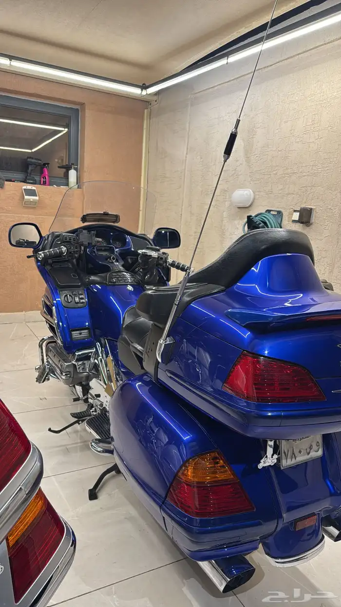 قولد وينق 2005 2