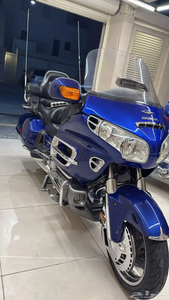 قولد وينق 2005 0