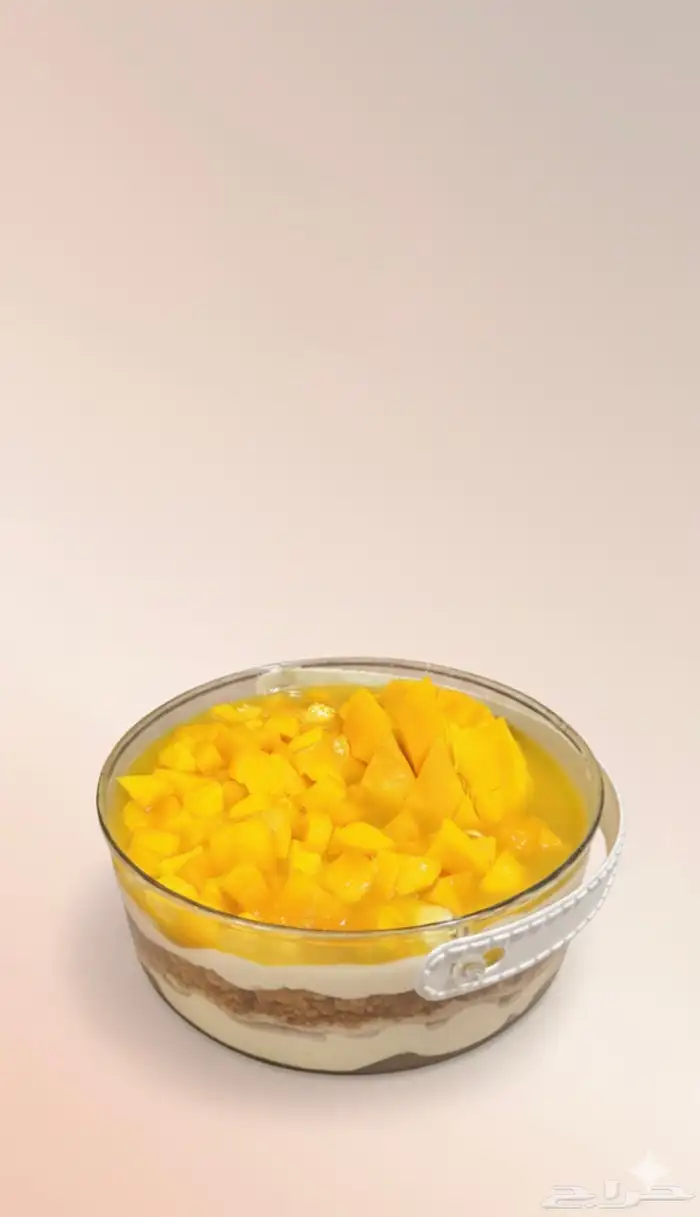 حلا ترافل مانقو ب99 استلام فوري الخبر حي الجسر 0