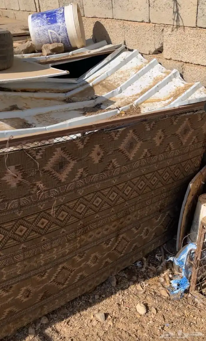 دجاج للبيع 4