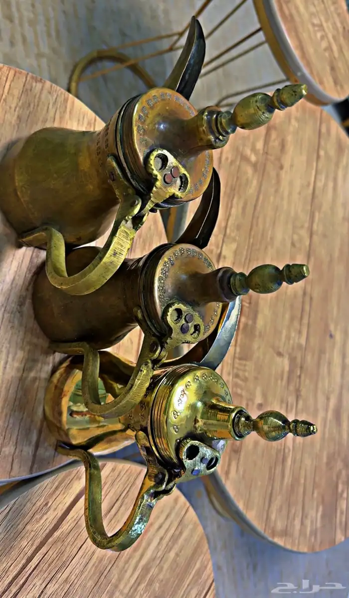 دلال قرشيه 12