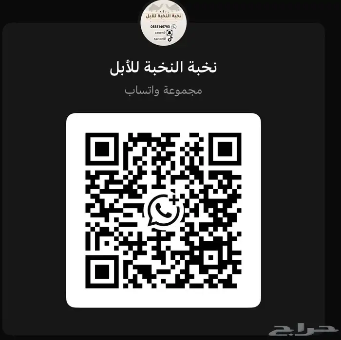 قروب لبيع الأبل الله يحي الجميع 0