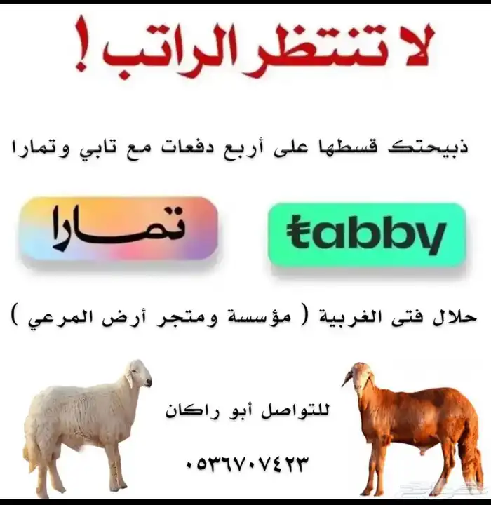 طليان ذبايح سواكن ورفيديات وحريات رقم واحد 5