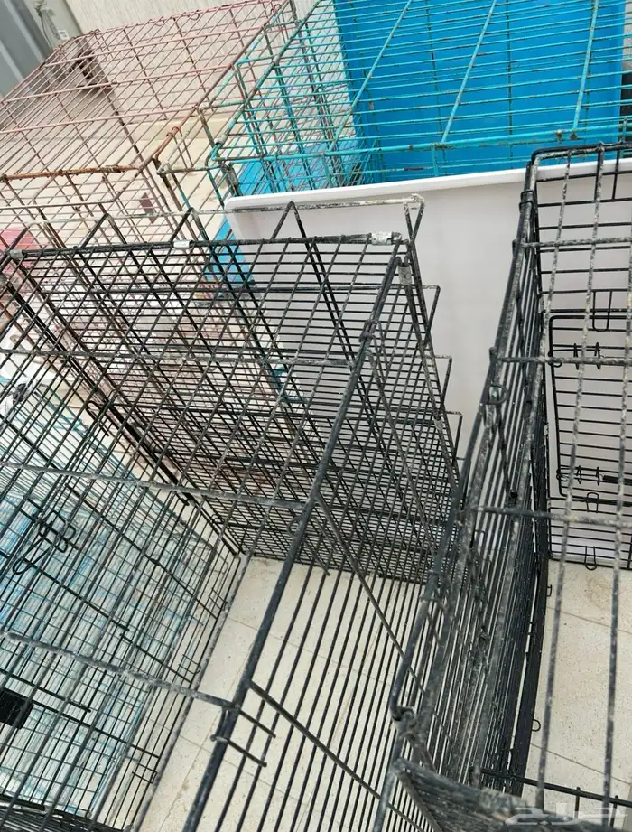 صناديق قطط كبيره مقاس الطول 90 والعرض 60 ب50 ريال 0