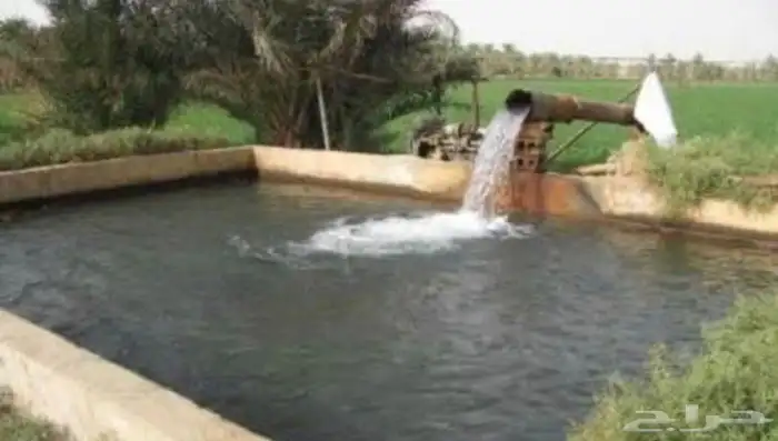 أرض زراعية بآبار. واستراحه قائمة 8